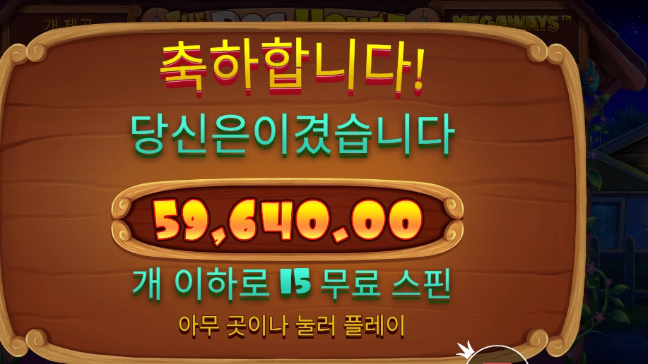 개집 6콩 배팅