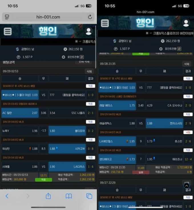행인 먹튀
