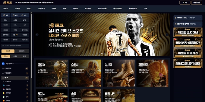 체코 먹튀
