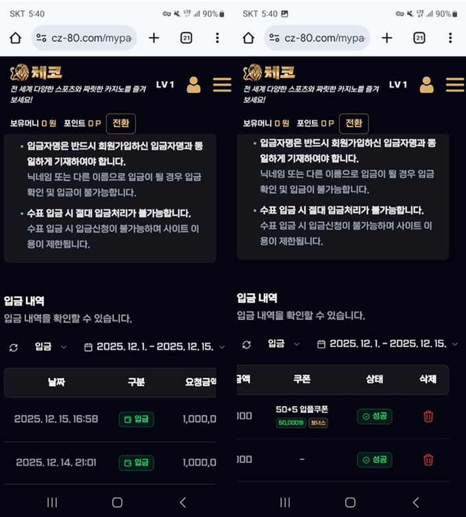 체코 먹튀