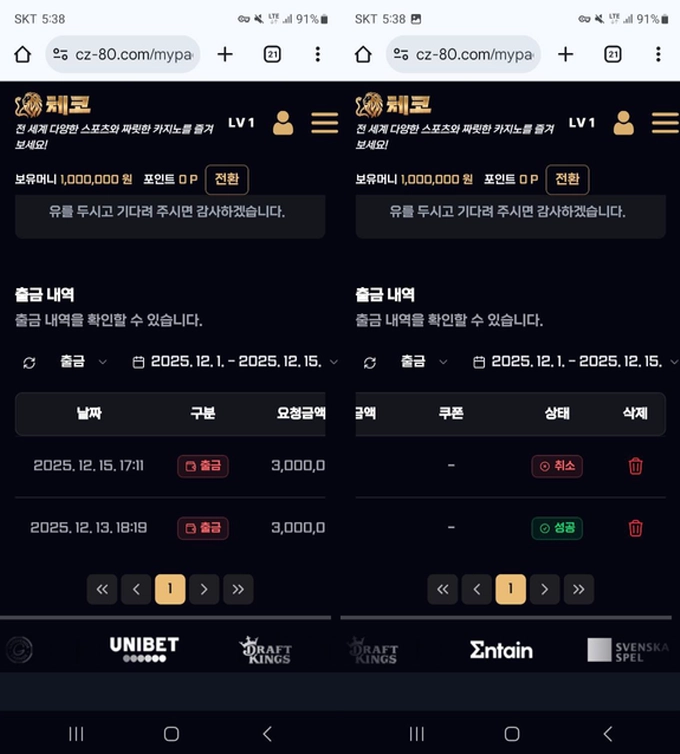 체코 먹튀