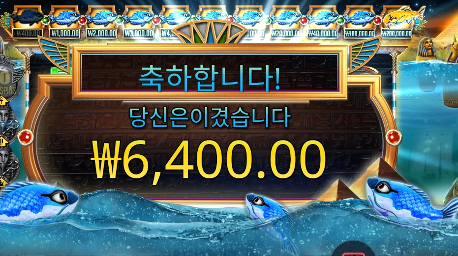 피시 아이 ２콩 배팅