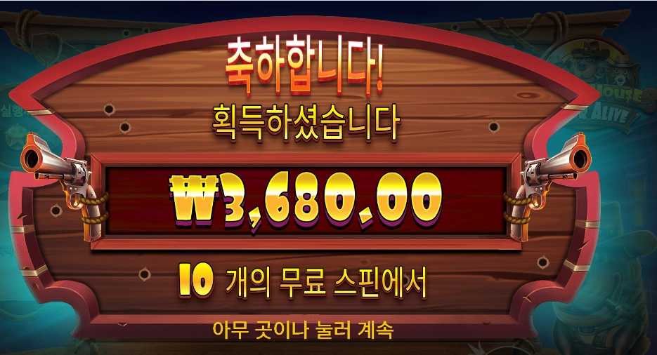 개집 １０스핀
