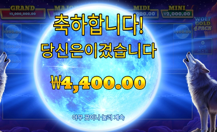 울프 골드 4 팩