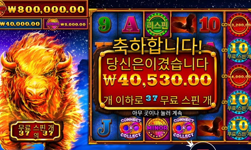 파이어 스탬피드 202배