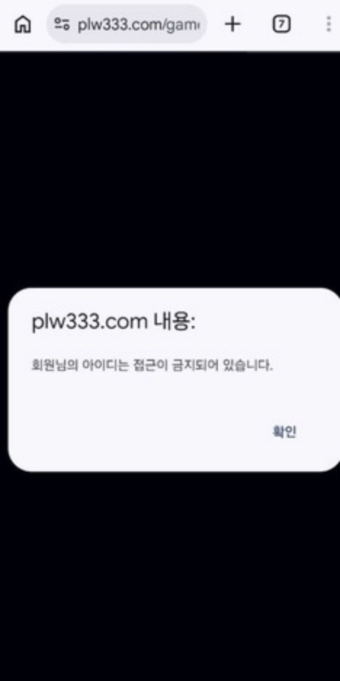 팔라완 먹튀