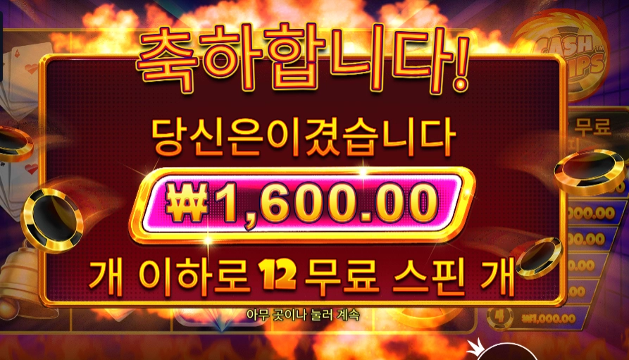 캐시 칩스