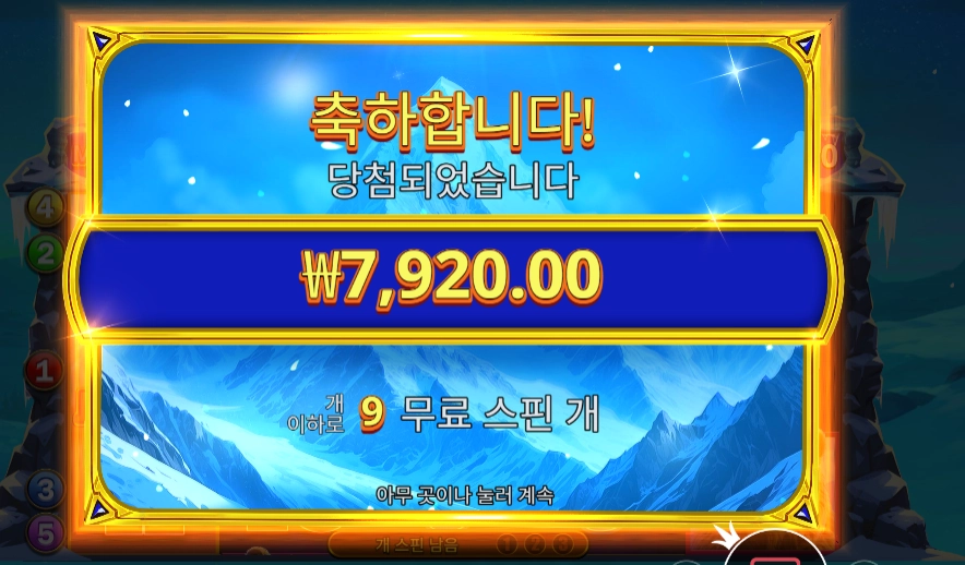 히말라얀 와일드 6콩 배팅