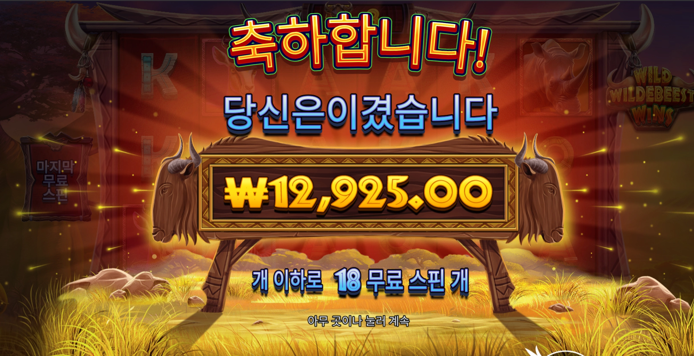 와일드비스트 18스핀