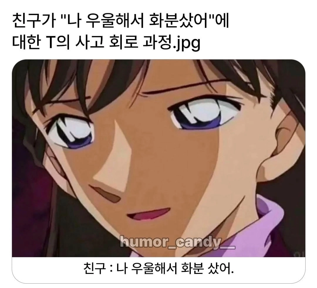 '나 우울해서 화분샀어'에 대한 T의 대답