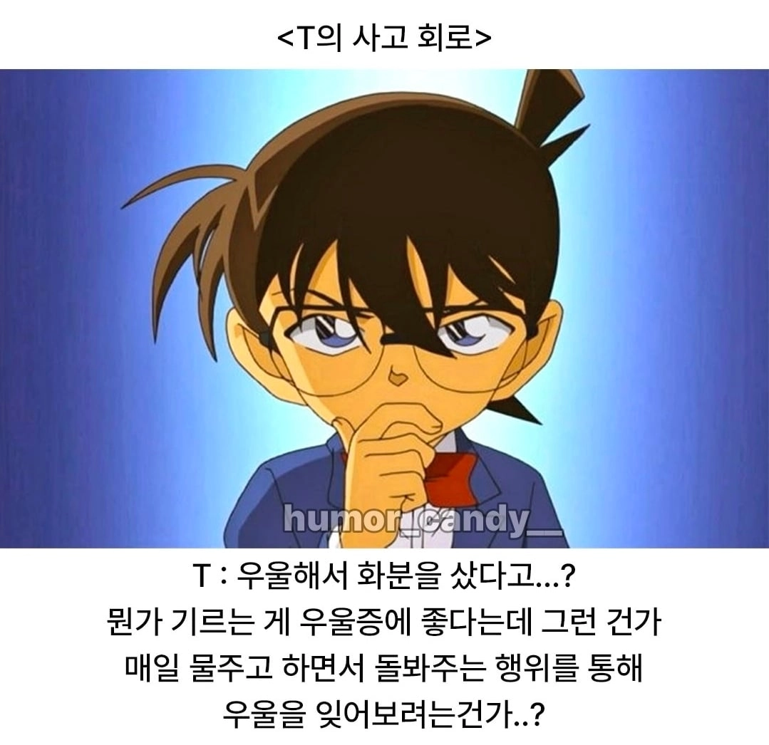'나 우울해서 화분샀어'에 대한 T의 대답