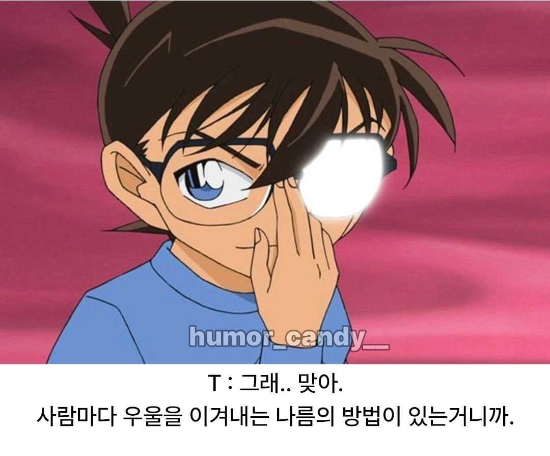 '나 우울해서 화분샀어'에 대한 T의 대답