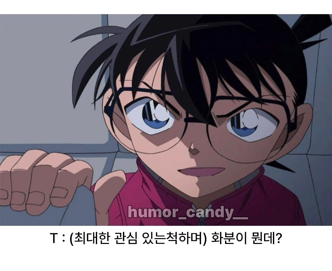'나 우울해서 화분샀어'에 대한 T의 대답