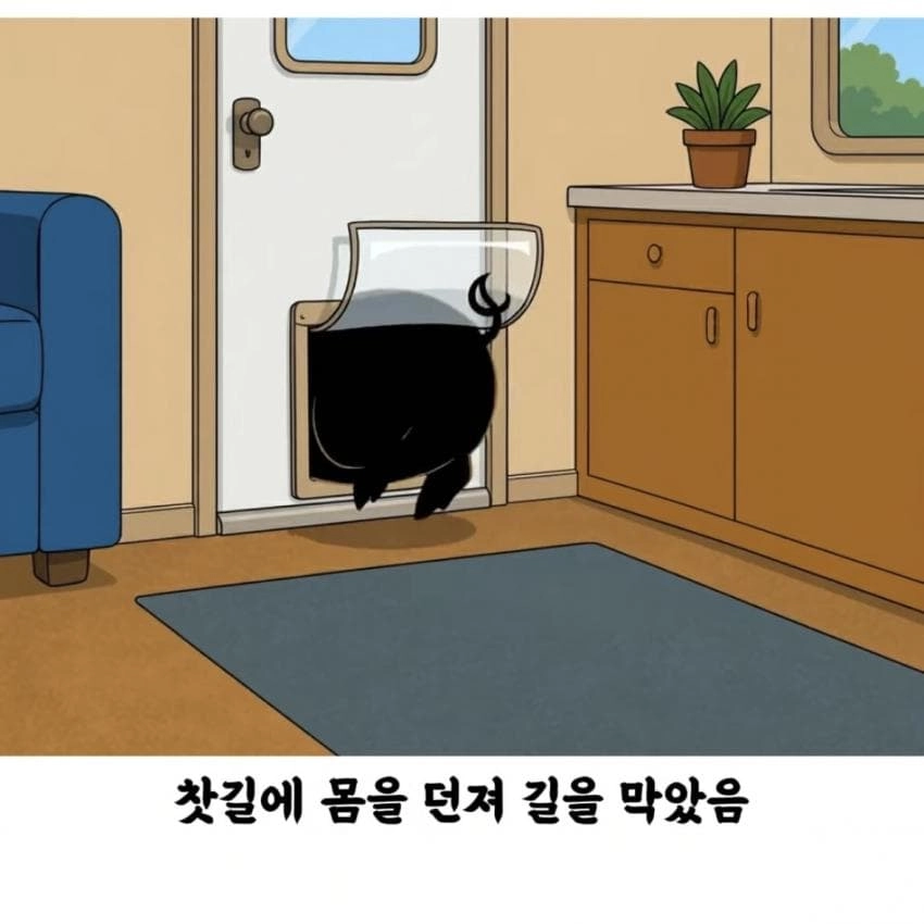 돼지 덕분에 살아난 여자