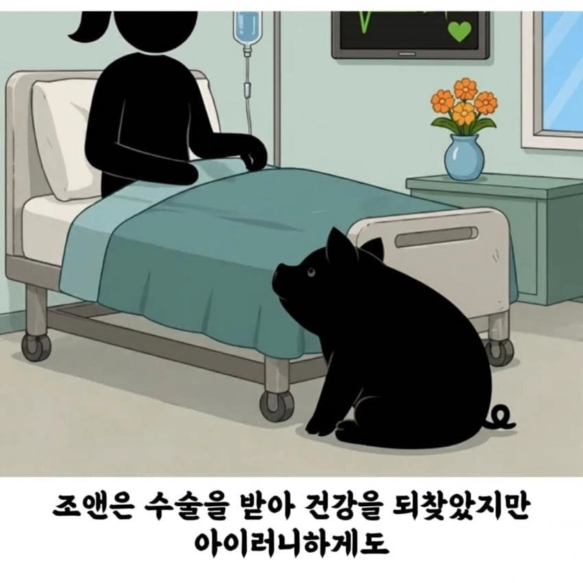 돼지 덕분에 살아난 여자
