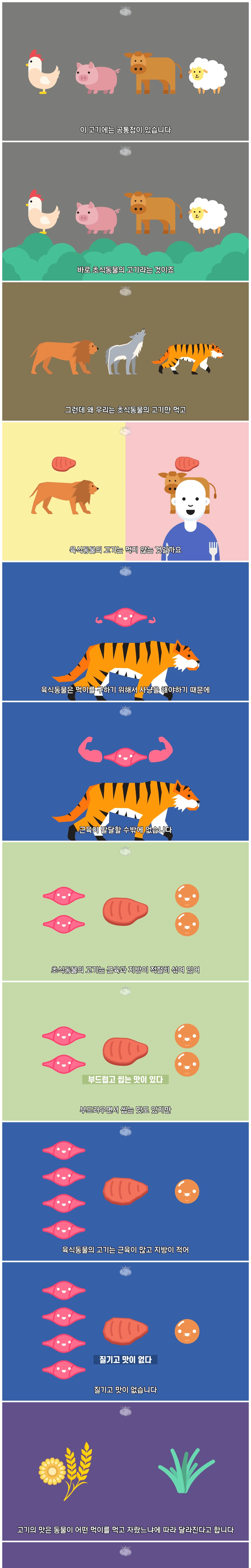 인간이 '초식 동물 고기'만 먹는 이유