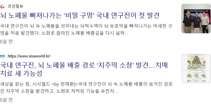 국내 연구진, '치매 해결책 찾았다'