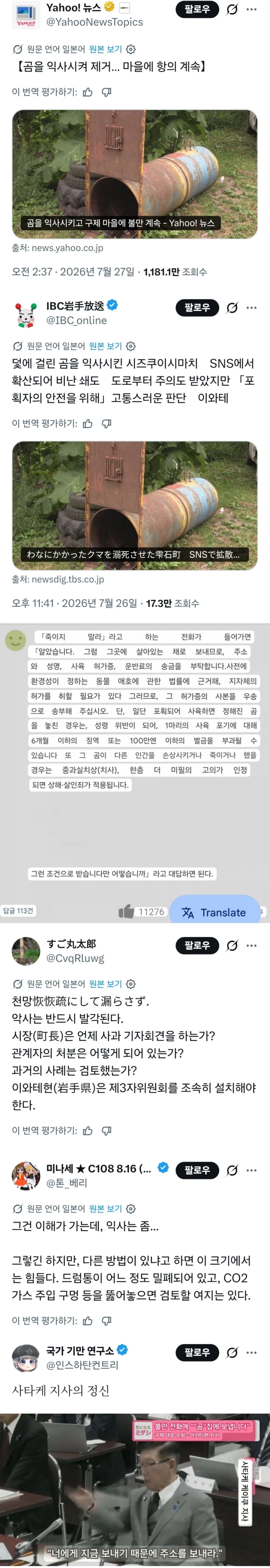 곰 익사 시켰다고 난리난 일본