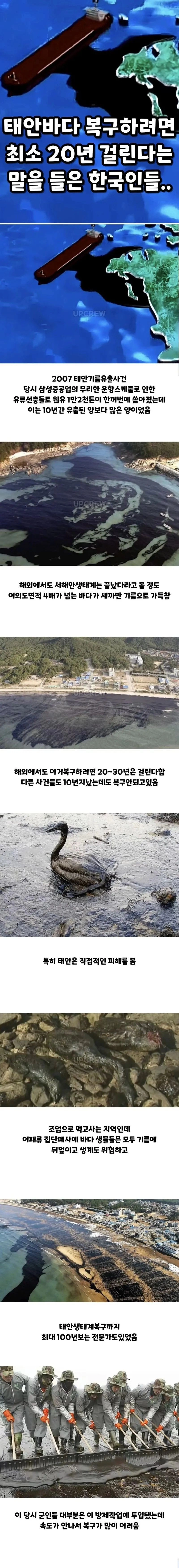 한국인들아 느그 그거 복구하는 데 20년 걸린다