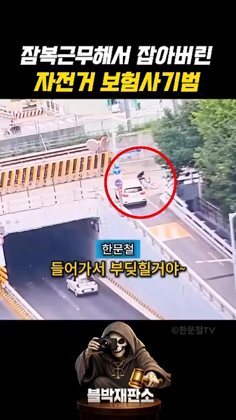 꼬리가 길어 잡힌 자라니 보험사기