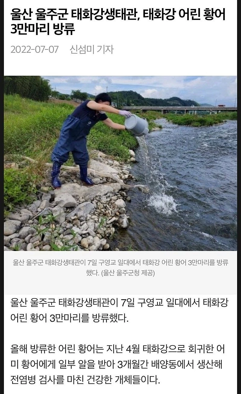 낚시꾼을 경악하게 만든 울주군