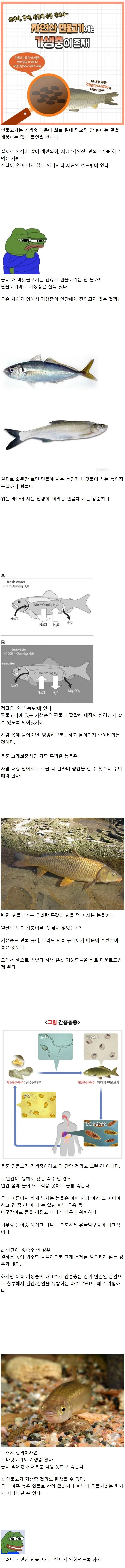 바닷고기는 되는데 민물고기는 안 되는 이유