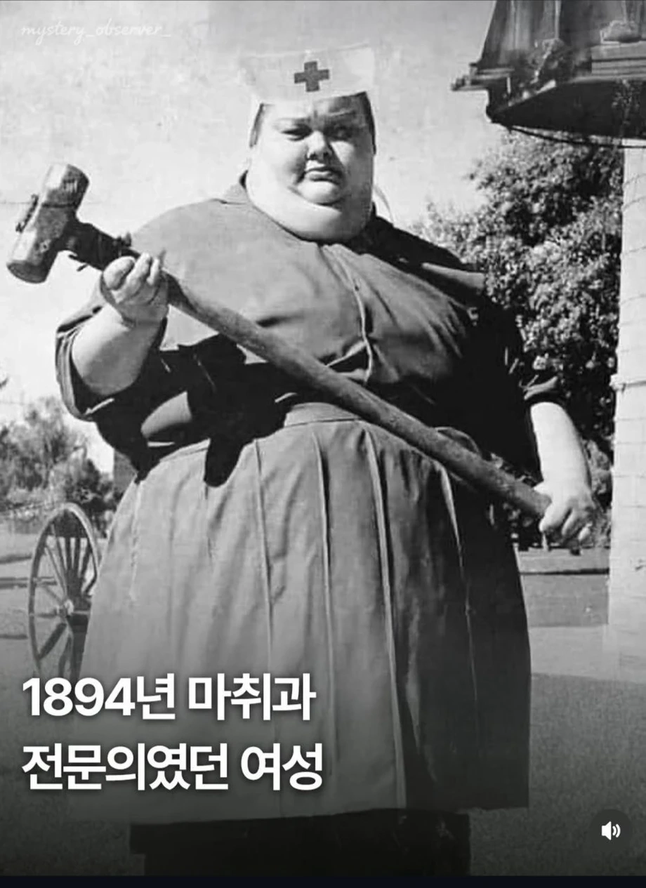 마취과 전문의 여성