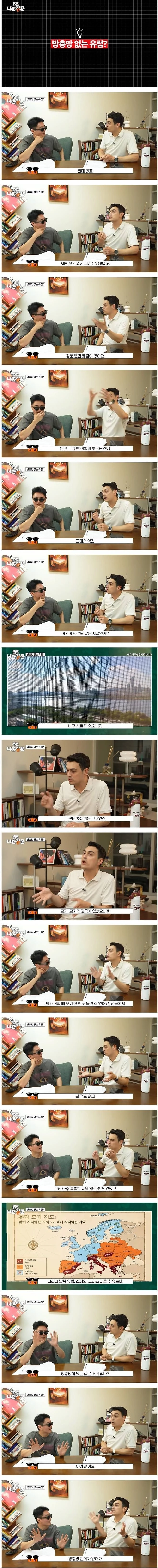 유럽 선진국 건물에 방충망이 없는 이유