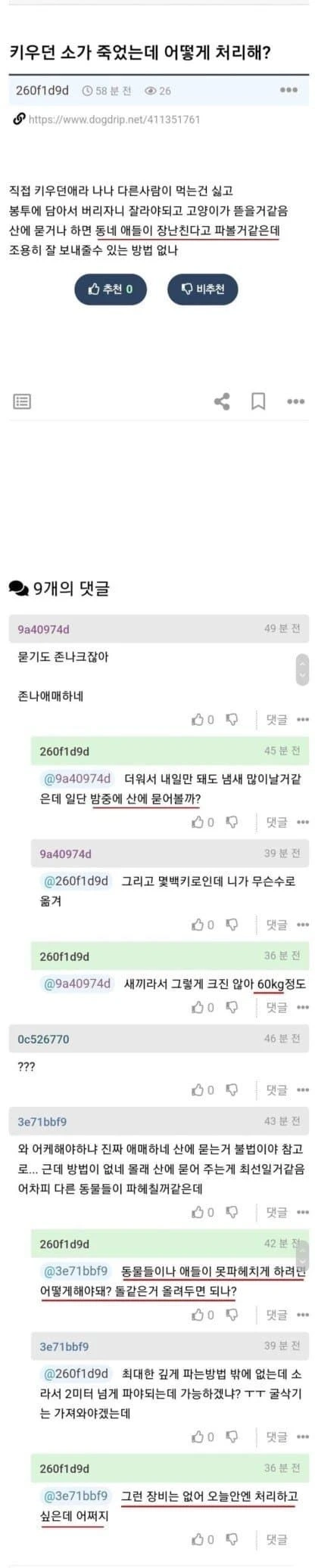 키우던 소가 죽었는데 어떻게 처리해?