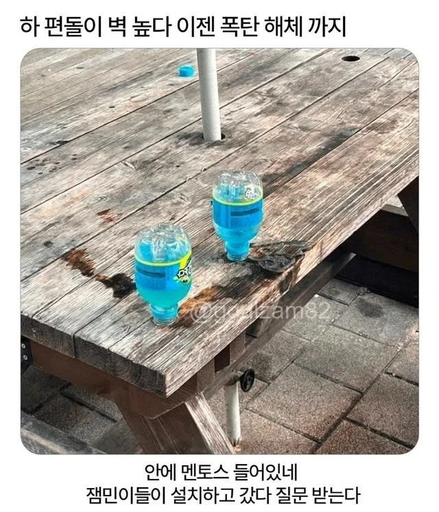 이제 폭탄해체까지 해야하는 편돌이
