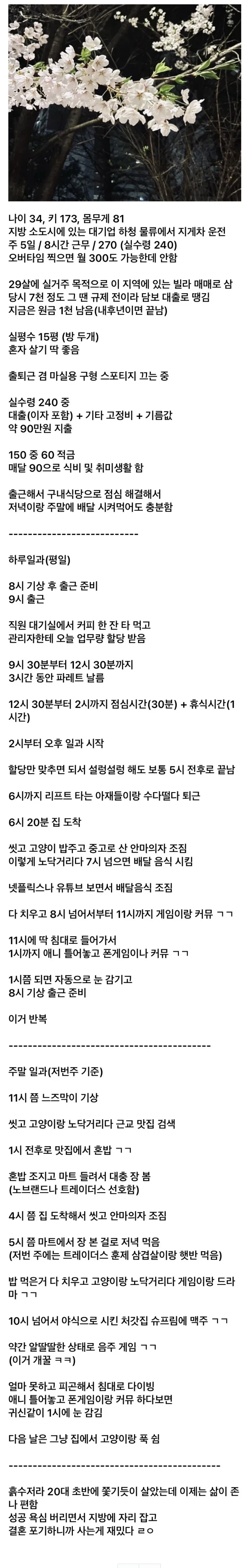 결혼 포기했다는 30대 디시인의 삶