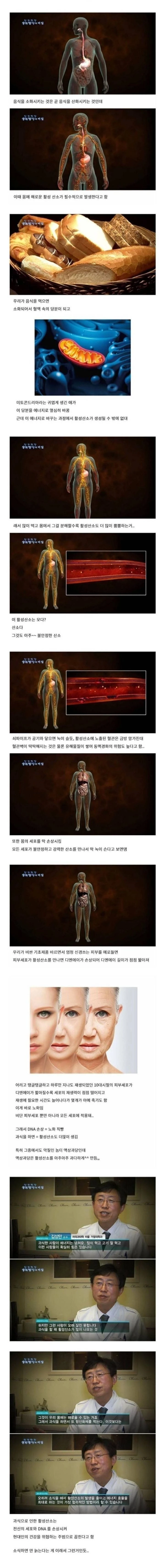 과식이 노화 부스터인 이유