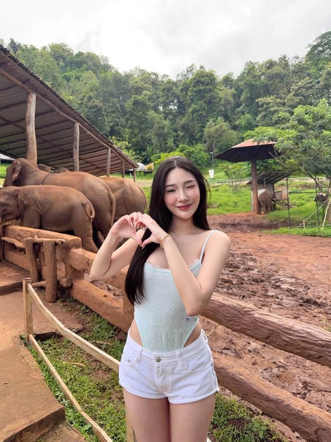 꼬끼리