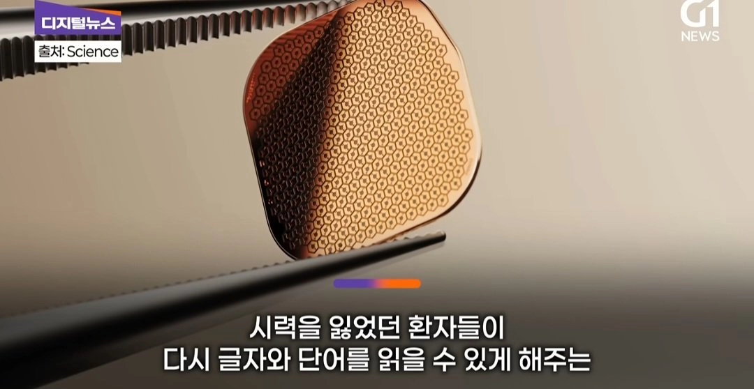 드디어 정복했다는 시각장애 근황