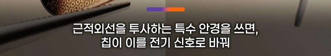 드디어 정복했다는 시각장애 근황