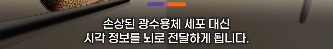 드디어 정복했다는 시각장애 근황