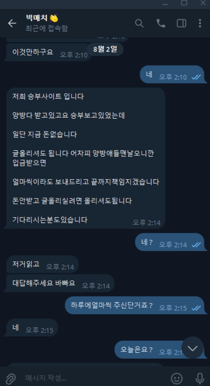 빅매치 먹튀