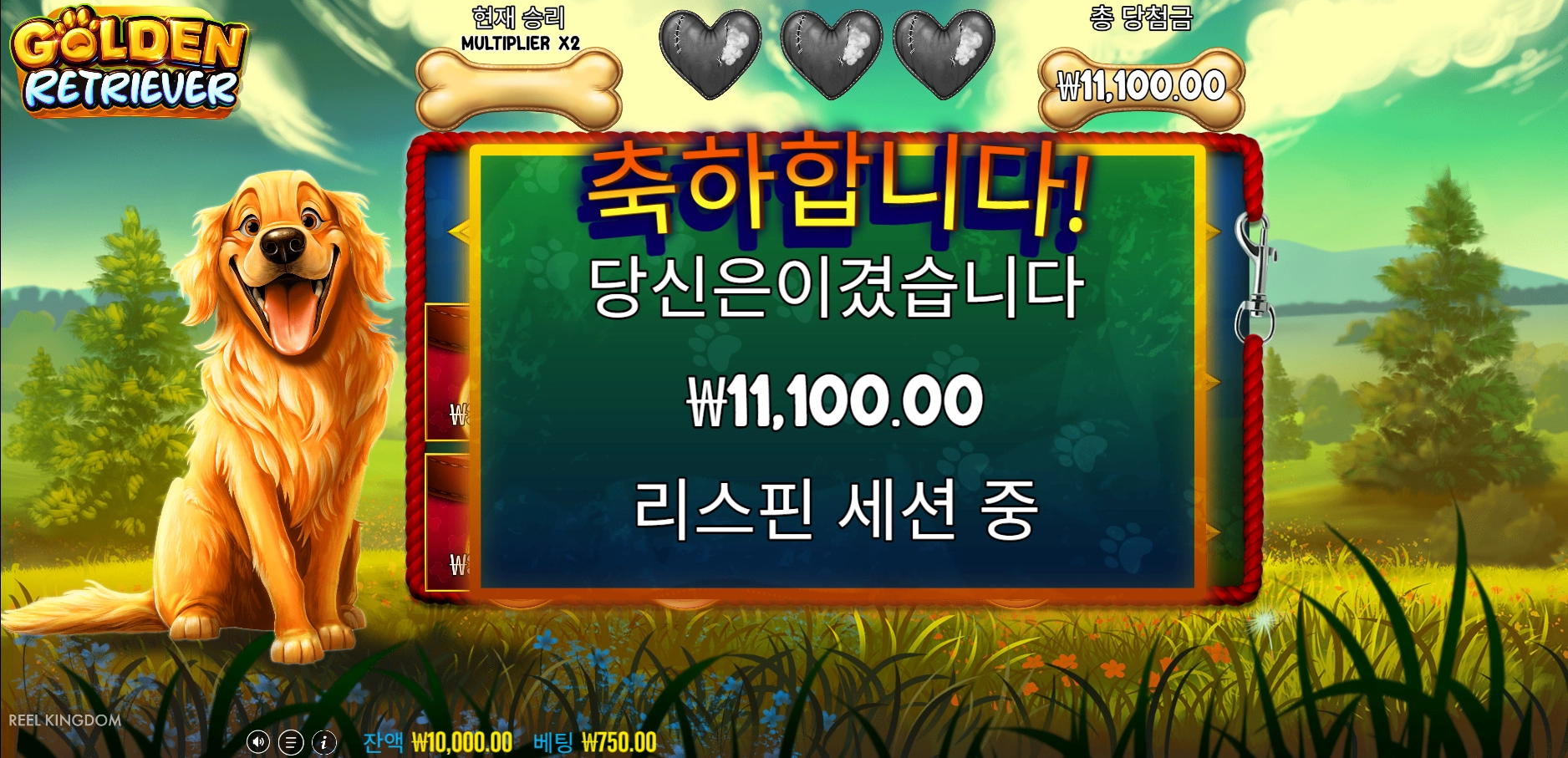 골든리트리버후기입니다