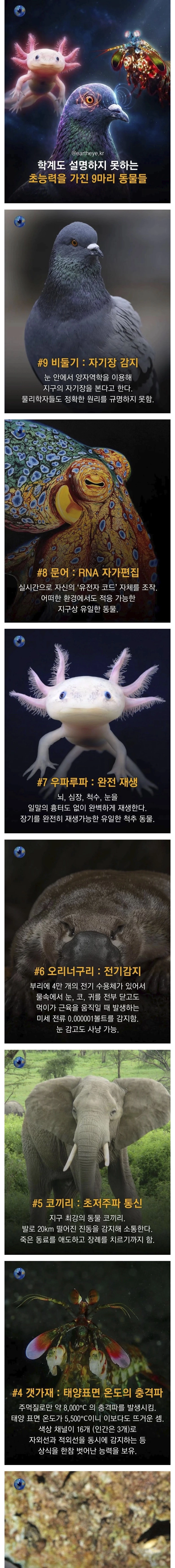 학계도 설명이 어려운 초능력을 가진 동물 9종