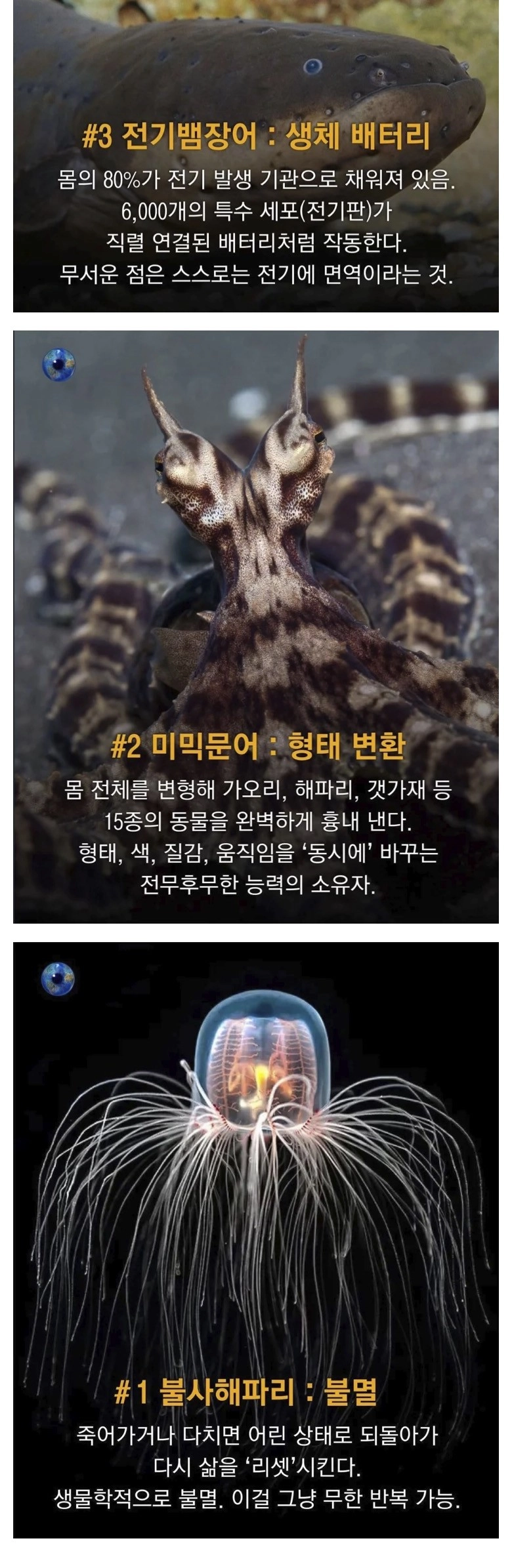 학계도 설명이 어려운 초능력을 가진 동물 9종
