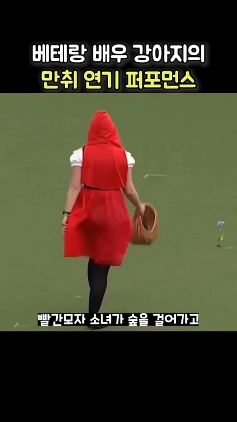 강아지의 술취한 연기 퍼포먼스