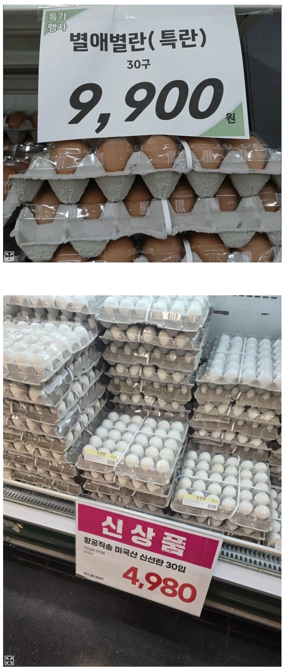 미국산 계란 근황