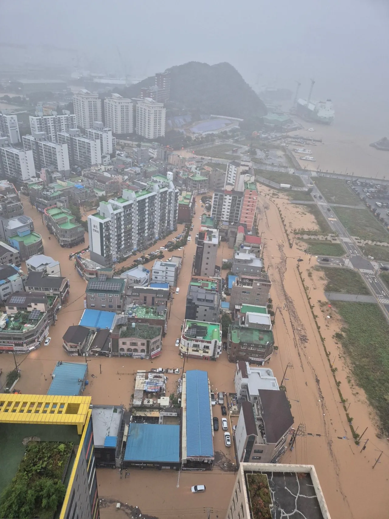 거제 현재 상황