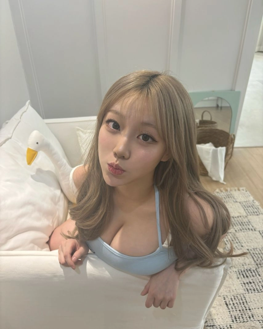 기무세딘 근황