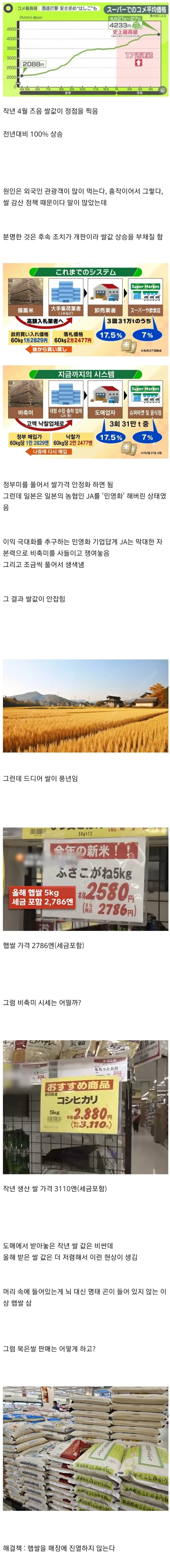쌀값 잡았다는 일본 상황