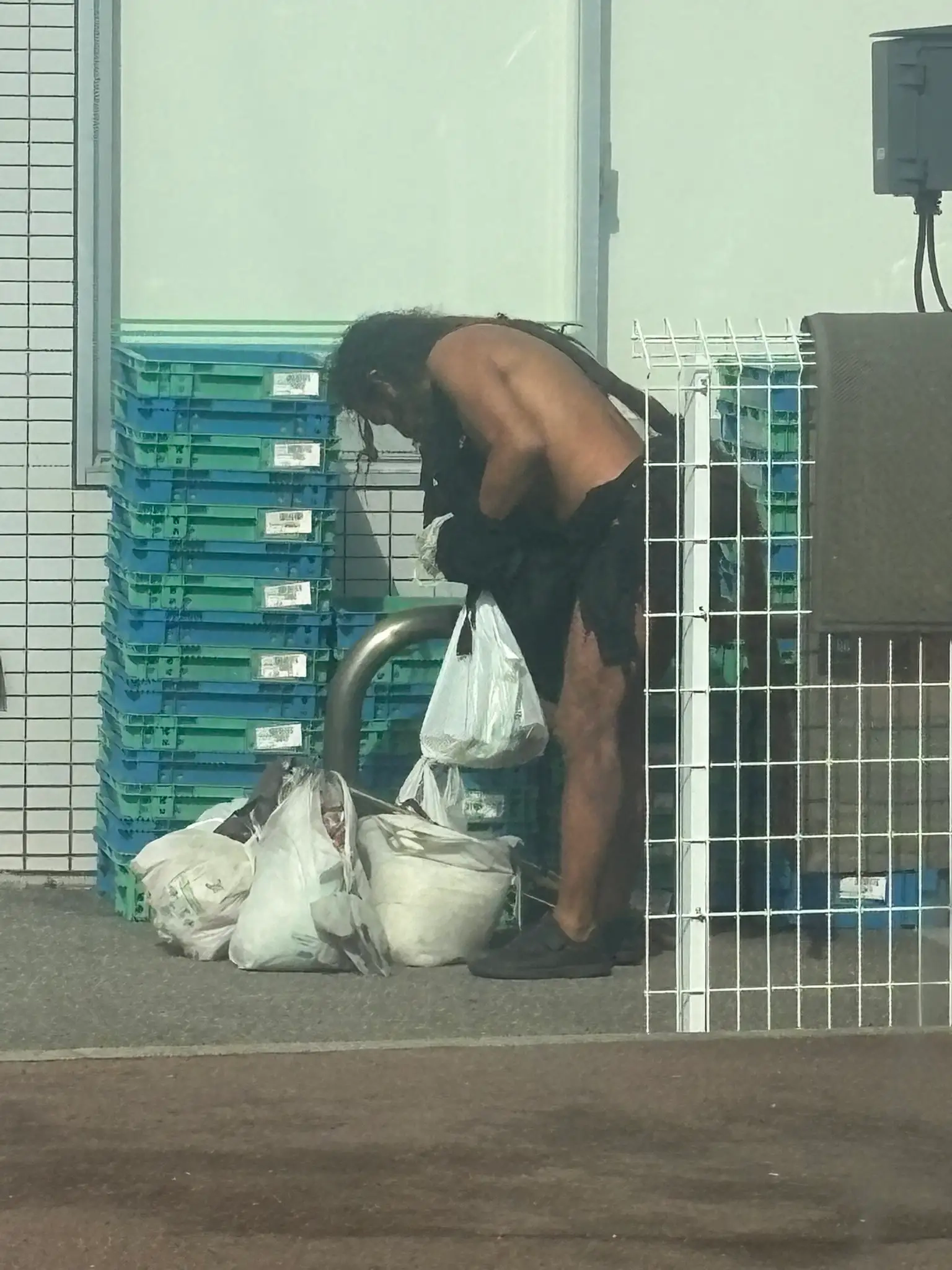 일본에 산다는 귀한 종족