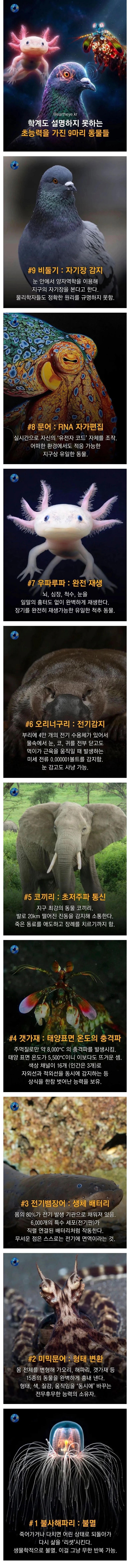 학계도 설명이 어려운 초능력을 가진 동물 9종