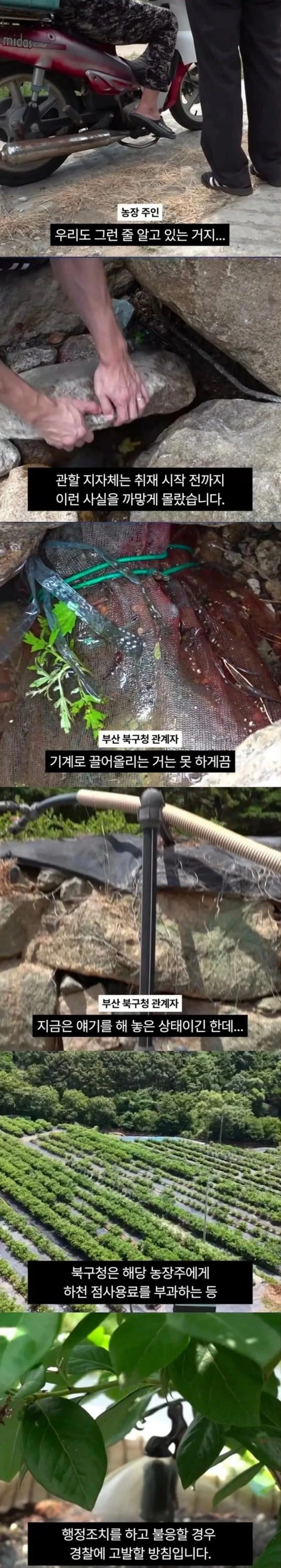 1급 생태하천 말라가는데 황당한 물 도둑