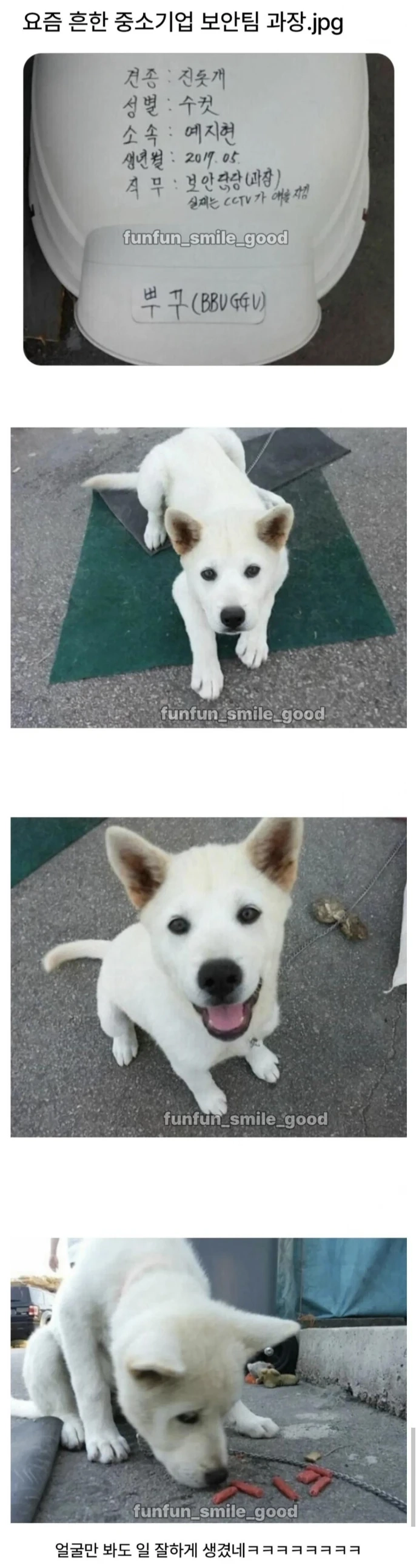 중소기업 보안팀 과장