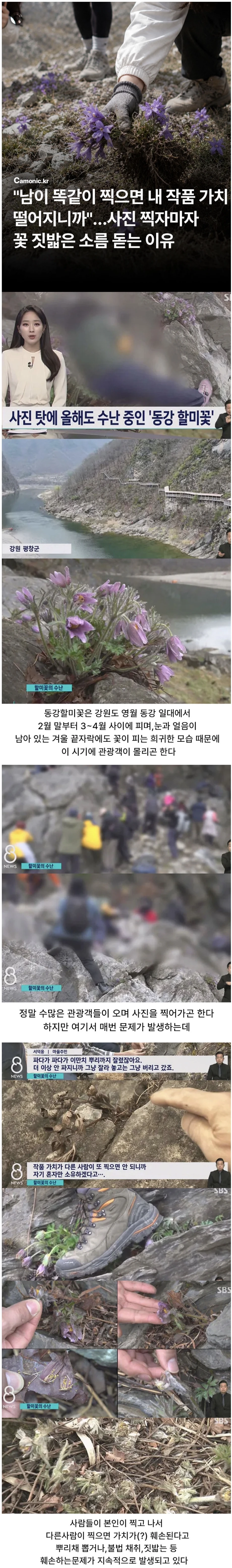 저 같은 사람들 피꺼솟 하는 기사